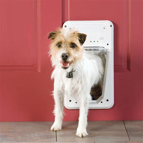 rfid sensors for dog collars to open doggy doors|best rfid pet doors.